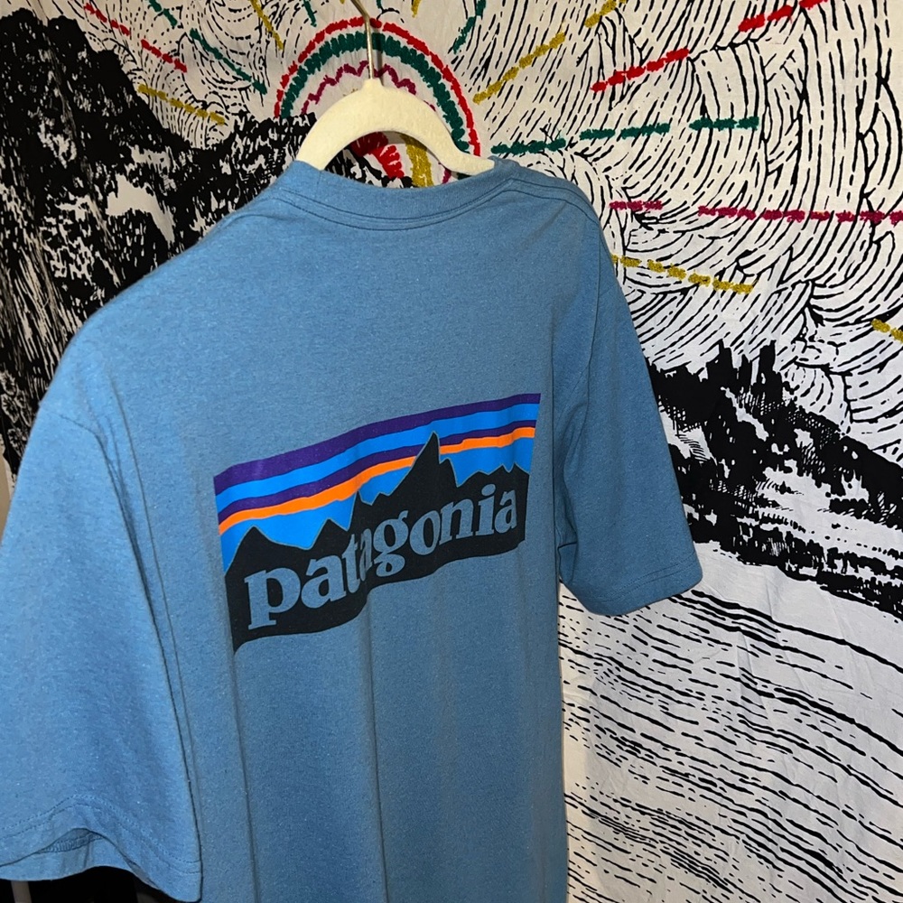 Blue Mens Patagonia Tee, Size Medium